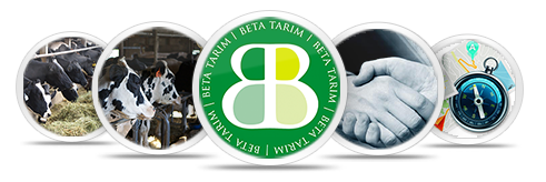 BETA TARIM