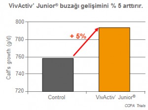 VivActiv’ Junior® ‘ın buzağı gelişimi üzerine etkisi
