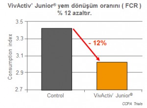 VivActiv’ Junior® ‘un buzağılarda yem dönüşüm oranına etkisi.